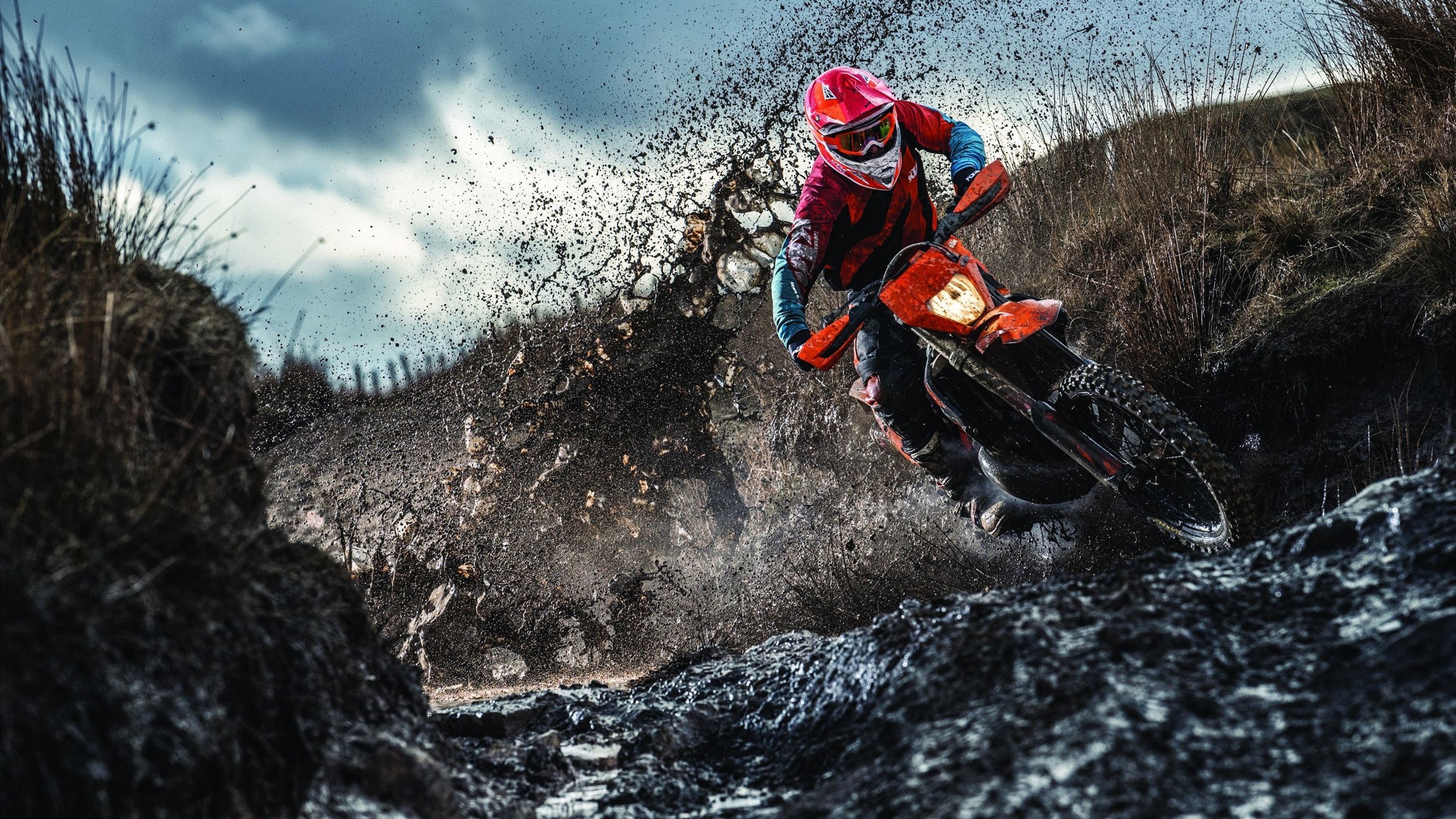 张雨霏展现强大比赛耐力，张雨霏的比赛项目